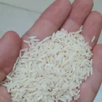 فروش برنج طارم ارگانیک مازندران
