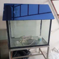 آکواریوم معاوضه با پرنده