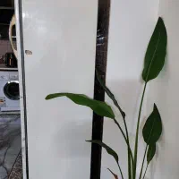 فریزر۸کشوو|یخچال و فریزر|قائم‌شهر, |دیوار