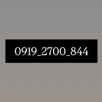 شماره رند ۰۹۱۹