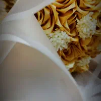 گل یاسی