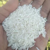 برنج فجر ۹۰ روزه