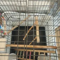 قفس بزرگ 1033|لوازم جانبی حیوانات|تهران, افسریه شمالی|دیوار