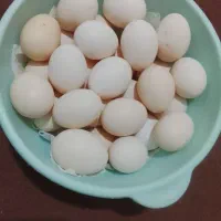 تخم مرغ محلی