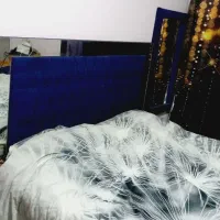 تخت خواب|تخت و سرویس خواب|اهواز, رسالت|دیوار