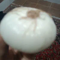 پیازشیرینوبومی