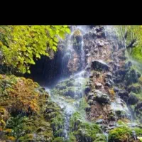 مسافرت شمال