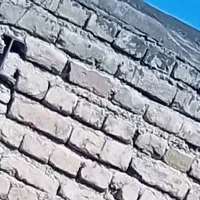 کبوتر رفتنی