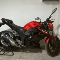 z250