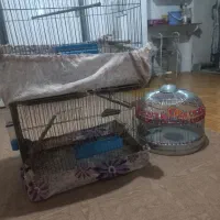 قفس طرقه وقناری