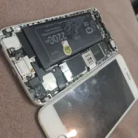 برد سالم 6s