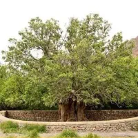 صعود کوهنوردی شبانه به سرخه حصار