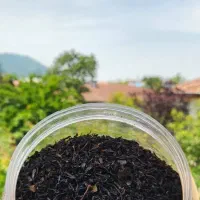 چای بهاره ممتاز درجه ۱