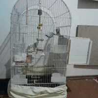 قفس پرنده|لوازم جانبی حیوانات|کاشان, شهرک خاتم الانبیا (مسکن ملی کاشان)|دیوار