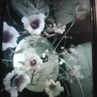 دوعددلوسترهمشکل