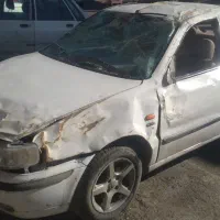 سمندتصادفی دوگانه کارخانه