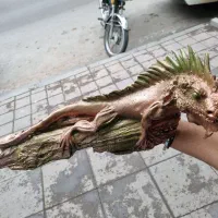 دکور مخصوص خونه