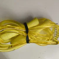ورزشی