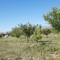 باغ شهر  عباس آباد سلطانیه1000متری