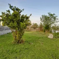 اجاره سویت با حیاط باصفا،|اجارهٔ کوتاهمدت ویلا و باغ|طاهرگوراب, |دیوار