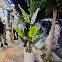 درختچه مصنوعی اصلی نسخه اروپایی|گل مصنوعی|کرج, گوهردشت|دیوار