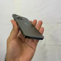 ایفون ۱۳پرو|موبایل|بوشهر, |دیوار