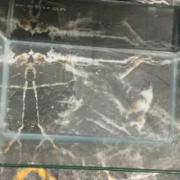 آکواریوم ماهیران فروشی