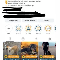باشگاه تربیت و اصلاح رفتار سگ اسکای حضوری و آنلاین