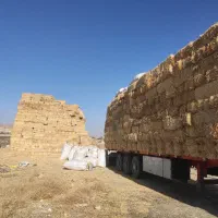 فروش کلش دیم