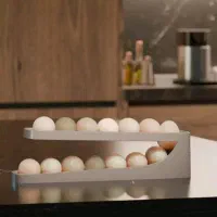 جا تخم مرغی ریلی|ظروف نگهدارنده، پلاستیکی، یک‌بارمصرف|کرمان, |دیوار