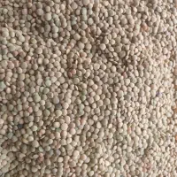 فروش و معاوضه  گردو و لوبیاو عدس   با برنج مطمئن|خوردنی و آشامیدنی|رشت, لاکان|دیوار