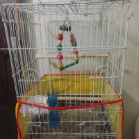 قفس کاسکویی با لوازم