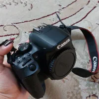 دوربین کنون 850D همراه با رم|دوربین عکاسی و فیلم‌برداری|رشت, دباغیان|دیوار