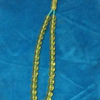 تسبیح کهربای حشره دار