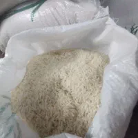 طارم هاشمی