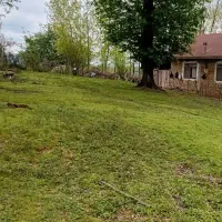 زمین کوهپایه ای با نامه مسکونی