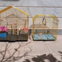قفس پرنده