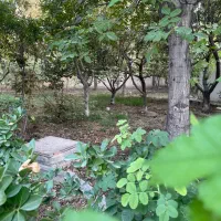 ۳۲۰۰متر باغ ویلا رویایی ،سه سند،دوبلکس ،استخر مجهز|فروش خانه و ویلا|محمدشهر, عباس آباد|دیوار