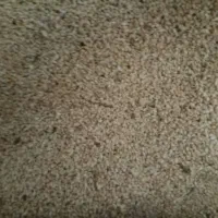 فروش ۳۰۰ کیلو دانه ارزن