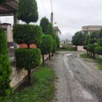 خدمات فضای سبز