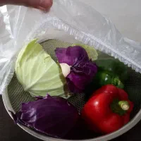 روکش پلاستیکی ضخیم دورکش دار سایز بزرگ|ظروف نگهدارنده، پلاستیکی، یک‌بارمصرف|رشت, دروازه لاکان|دیوار