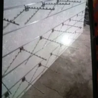 رگال جنس هایگلس