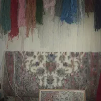 قالی چهار نشونی|فرش|اشکذر, |دیوار