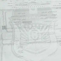 گم شده برگه سبز