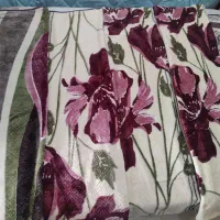 فروش ویژه پتو کژال / تعداد محدود|رختخواب، بالش، پتو|شیروان (خراسان), |دیوار