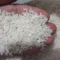برنج فجر ۹۰روزه اقتصادی