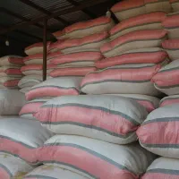 کاه. یونجه سبوس و جو و گندم|لوازم جانبی حیوانات|اصفهان, خانه اصفهان|دیوار