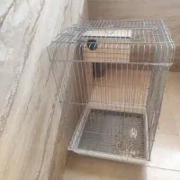 قفس بزرگ فروشی