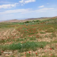 زمین-فروشی-شهرک-شهرداری