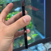 12pro|موبایل|شیراز, زند|دیوار